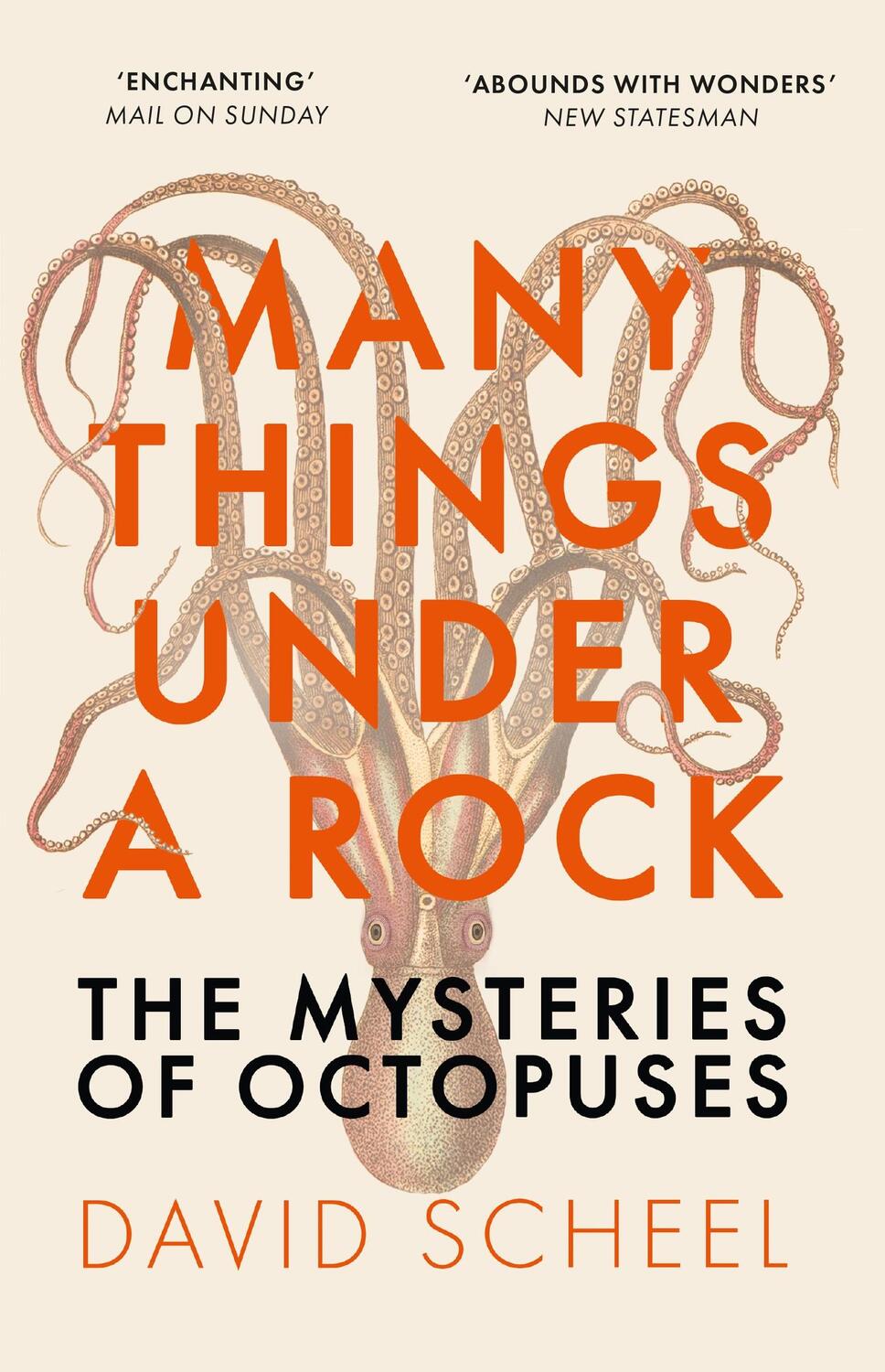 Cover: 9781529392647 | Many Things Under a Rock | The Mysteries of Octopuses | David Scheel