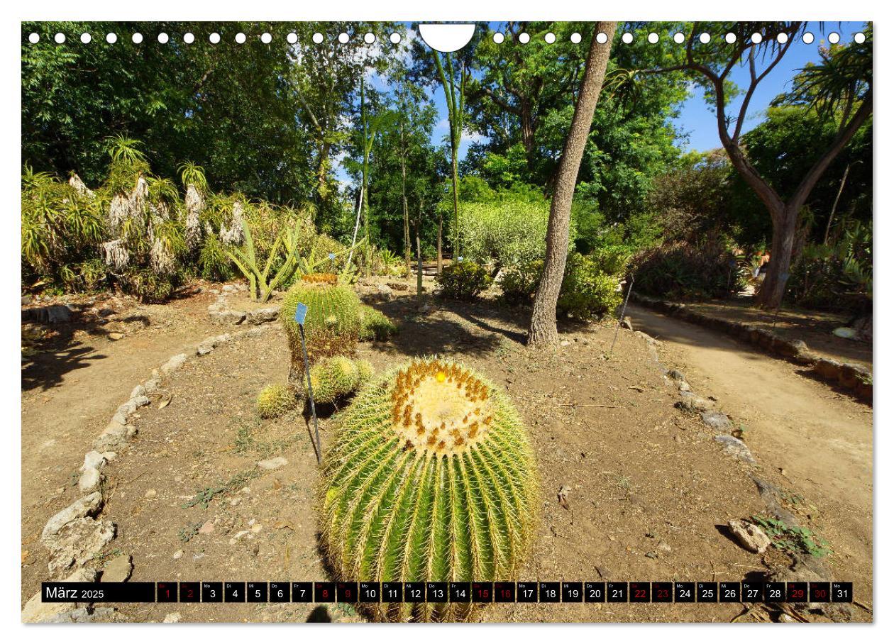 Bild: 9783435399499 | Botanischer Garten Palermo (Wandkalender 2025 DIN A4 quer),...