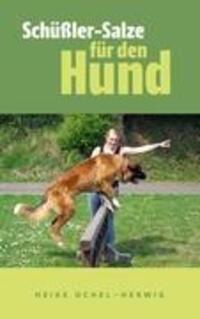 Cover: 9783844869668 | Schüßler-Salze für den Hund | so wichtig | Heike Ochel-Herwig | Buch