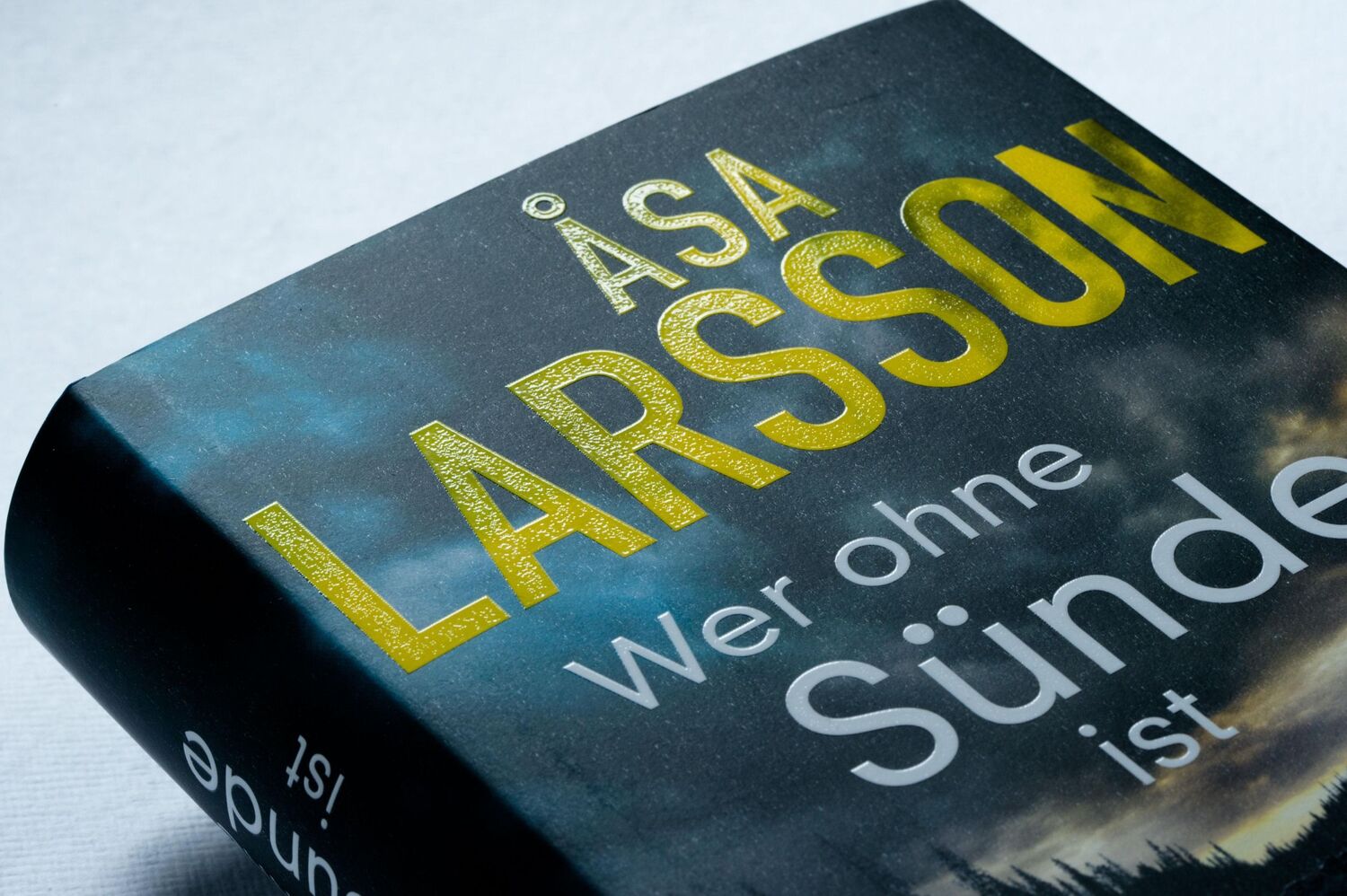 Bild: 9783570101025 | Wer ohne Sünde ist | Åsa Larsson | Buch | 592 S. | Deutsch | 2022