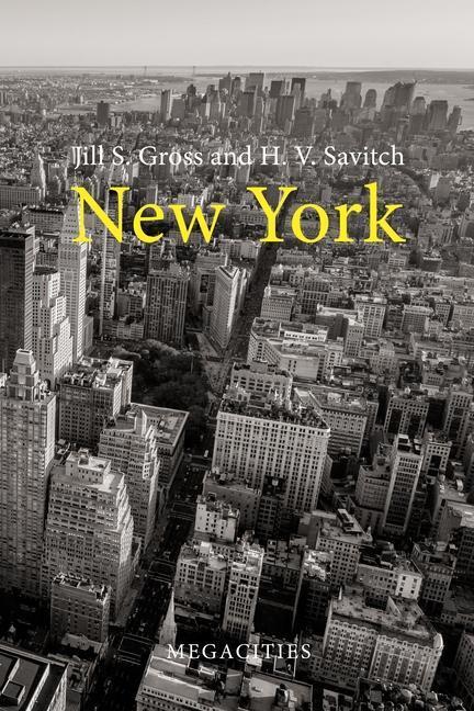 Cover: 9781788212045 | New York | Professor Jill S. Gross (u. a.) | Taschenbuch | Megacities
