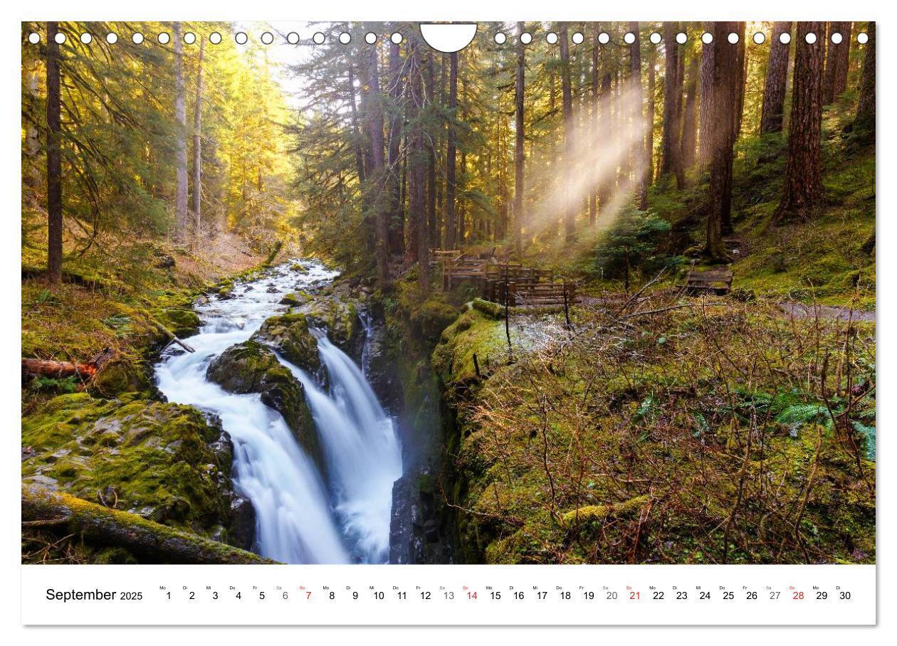 Bild: 9783435614882 | The Olympic National Park - Washington USA (Wandkalender 2025 DIN...