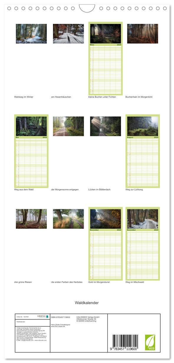 Bild: 9783457119600 | Familienplaner 2025 - Waldkalender mit 5 Spalten (Wandkalender, 21...