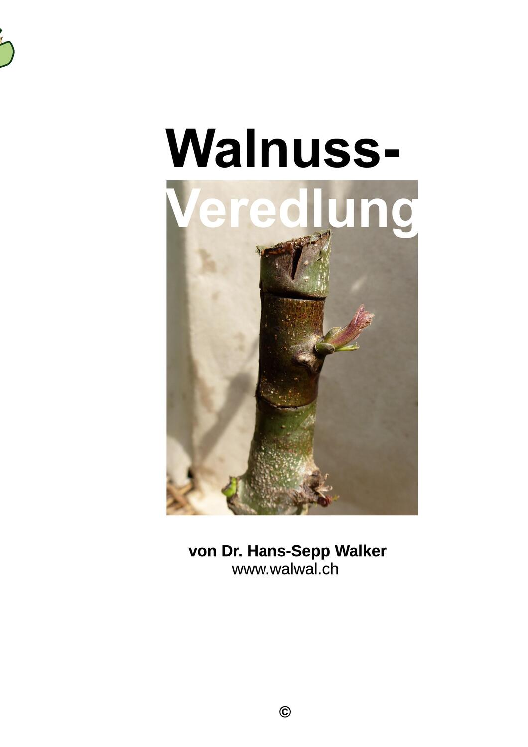 Cover: 9783757890421 | Walnuss-Veredlung | Hans-Sepp Walker | Taschenbuch | Paperback | 80 S.