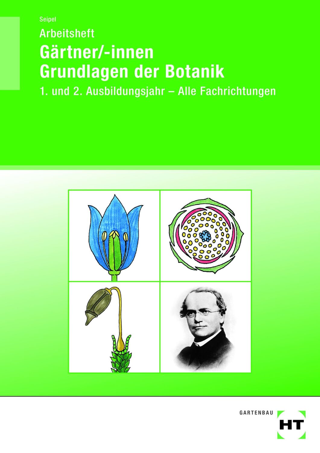 Cover: 9783582878540 | Arbeitsheft Gärtner/-innen Grundlagen der Botanik | Holger Seipel