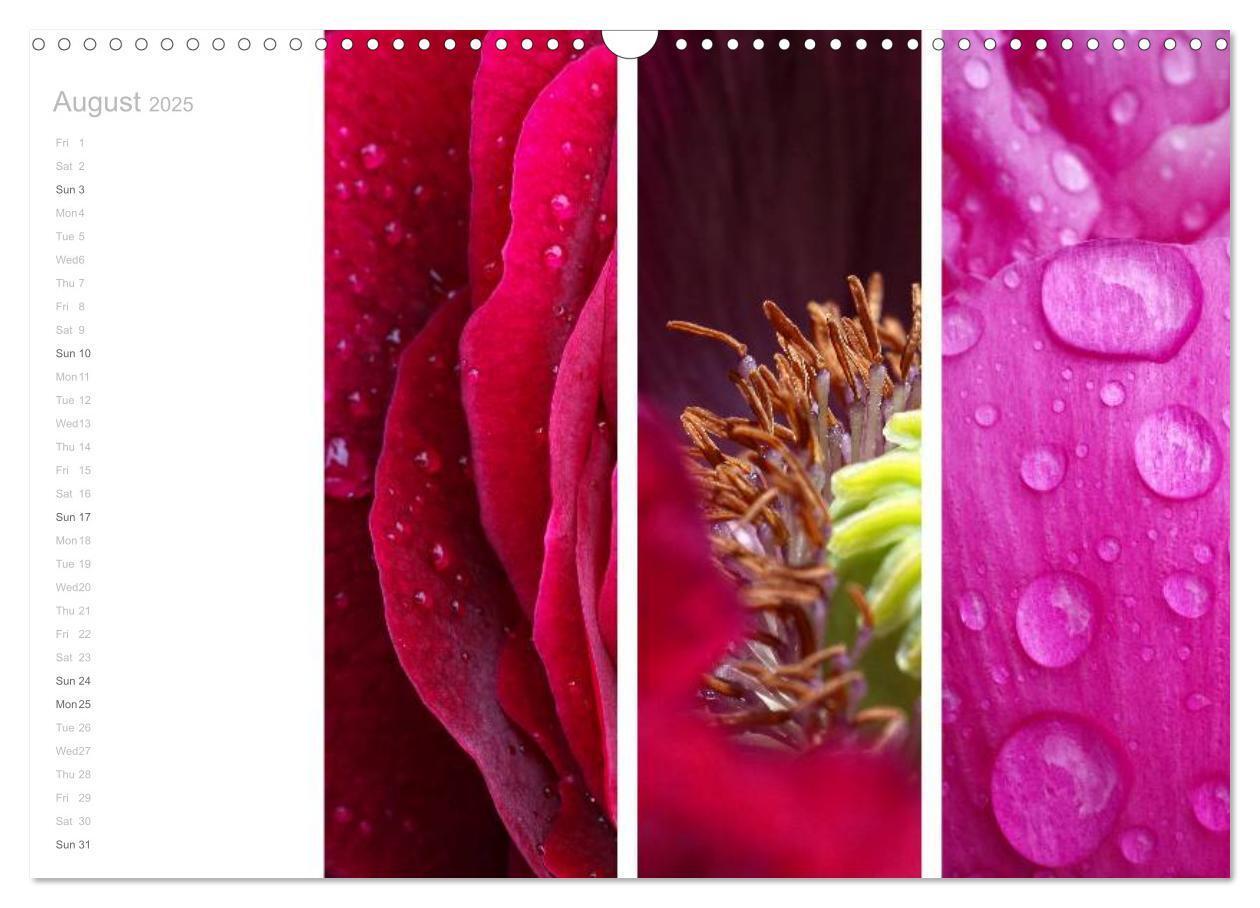 Bild: 9781325962907 | Natural Trios (Wall Calendar 2025 DIN A3 landscape), CALVENDO 12...