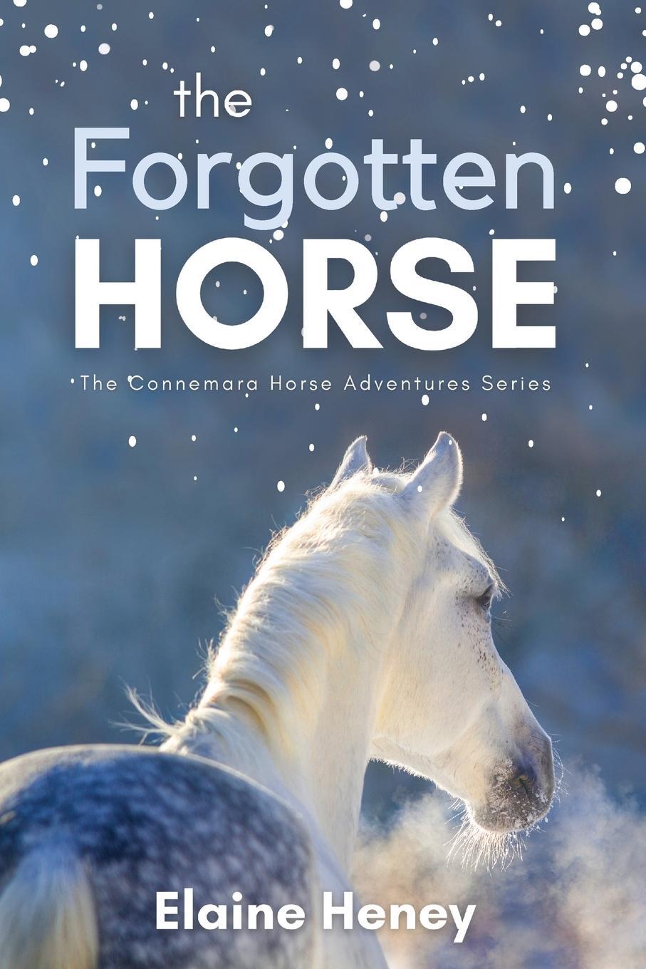 Cover: 9780955265341 | The Forgotten Horse - Book 1 in the Connemara Horse Adventure...