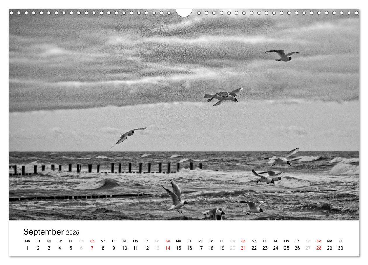 Bild: 9783435511914 | Ostseebad Zingst - Impressionen in Schwarz-Weiß (Wandkalender 2025...