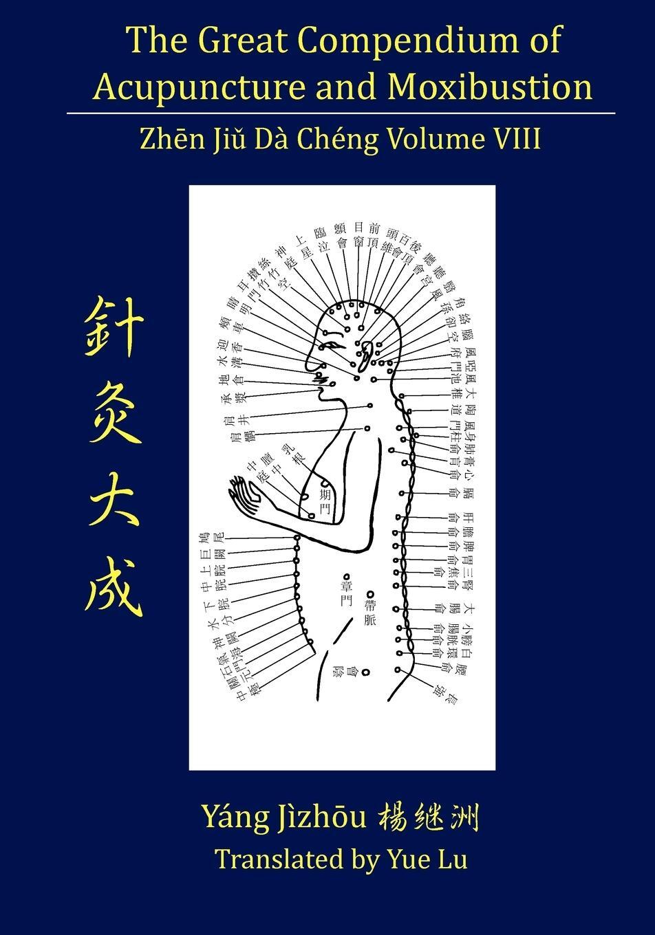 Cover: 9780979955273 | The Great Compendium of Acupuncture and Moxibustion Volume VIII | Buch