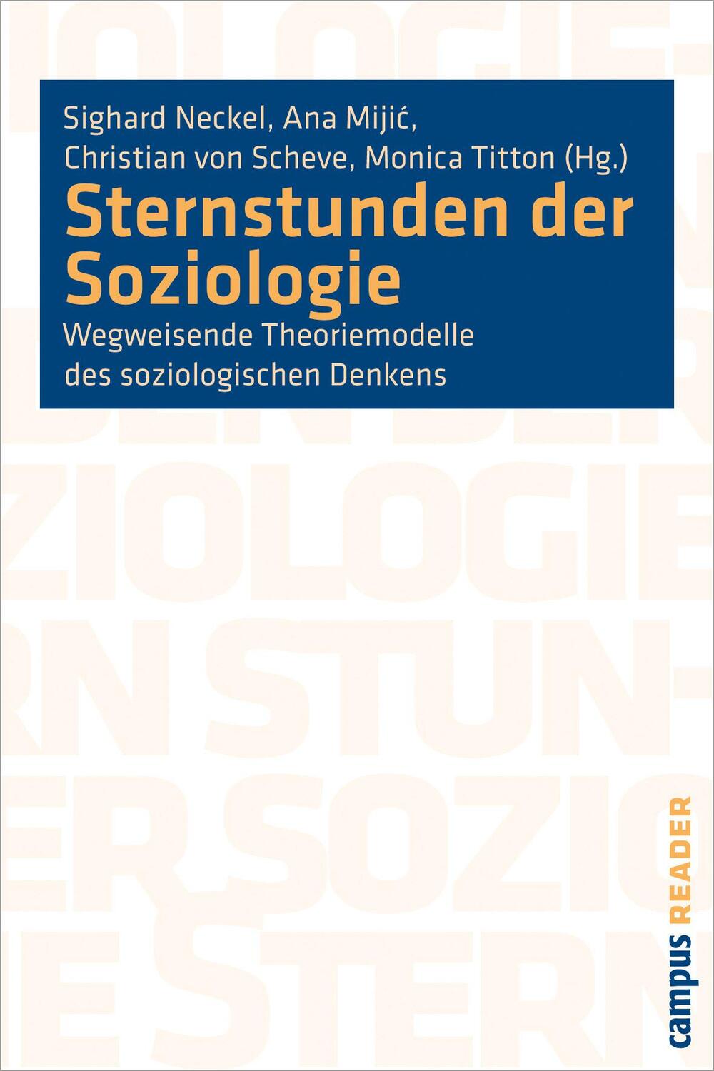 Cover: 9783593391816 | Sternstunden der Soziologie | Sighard Neckel (u. a.) | Taschenbuch