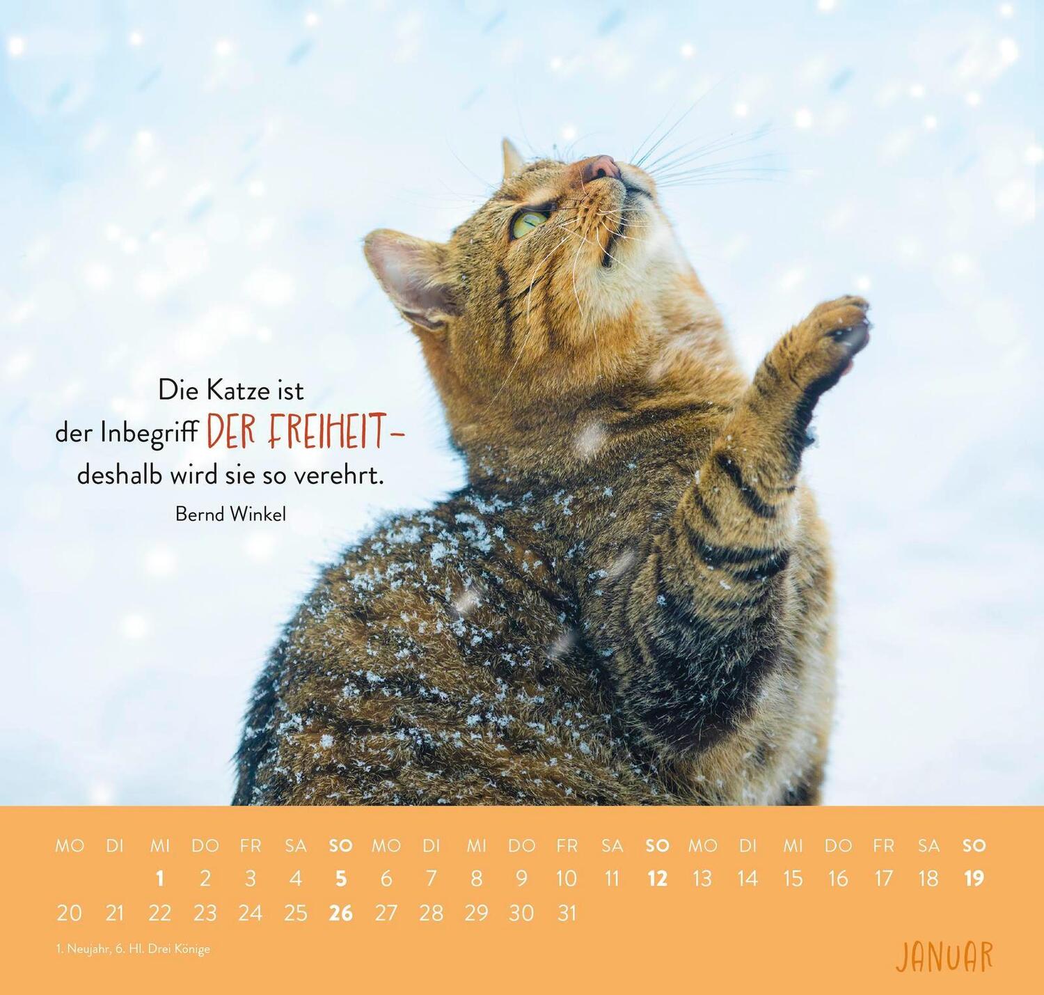 Bild: 4036442011881 | Wandkalender 2025: Für Katzenfreunde | Groh Verlag | Kalender | 12 S.