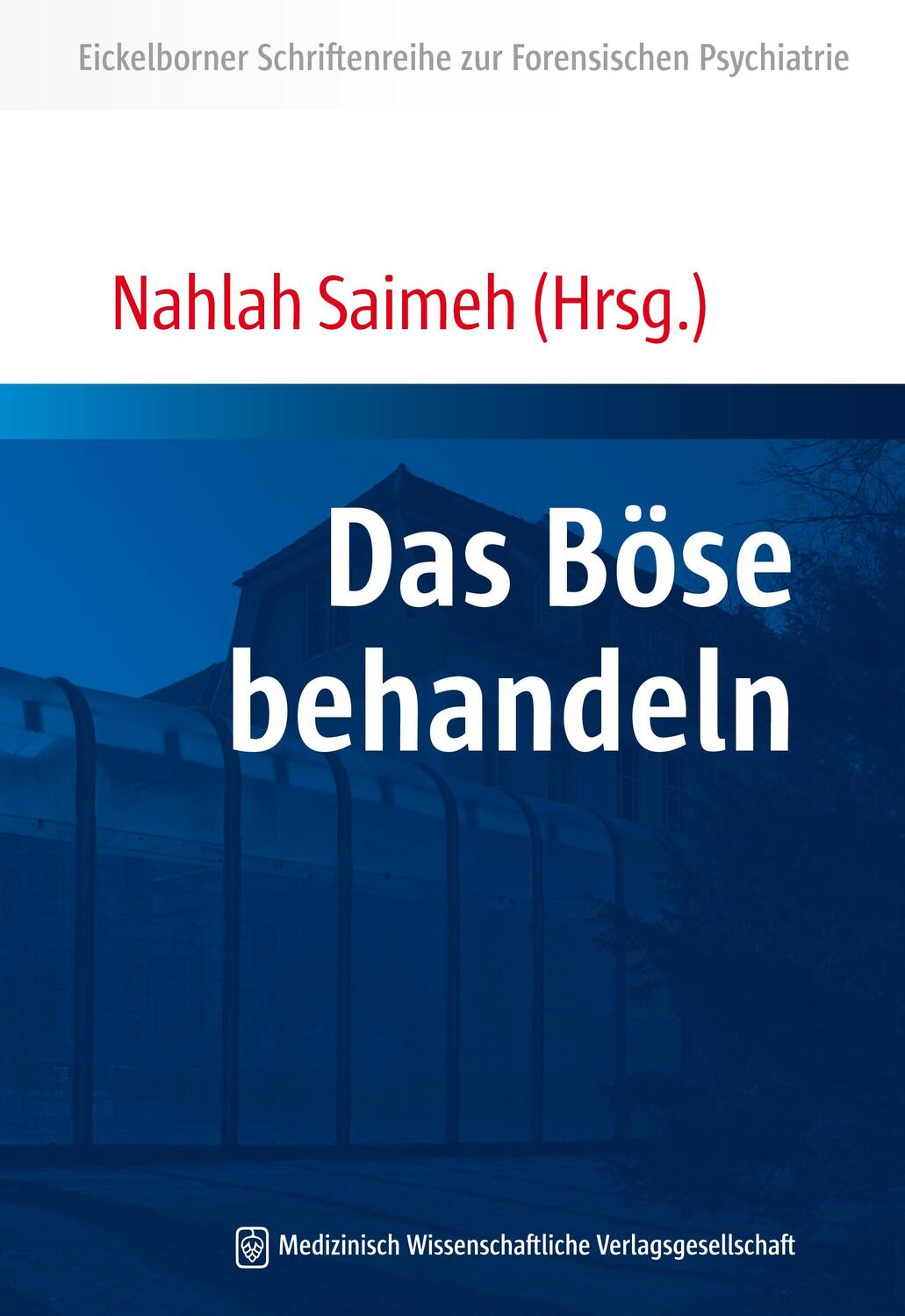 Cover: 9783954660575 | Das Böse behandeln | Nahlah Saimeh | Taschenbuch | Deutsch | 2013