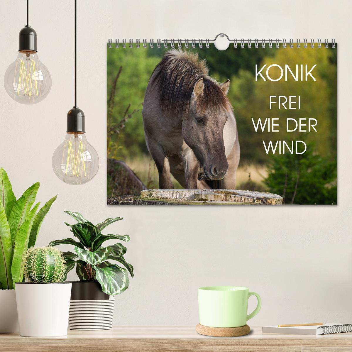 Bild: 9783435573479 | Konik - Frei geboren (Wandkalender 2025 DIN A4 quer), CALVENDO...