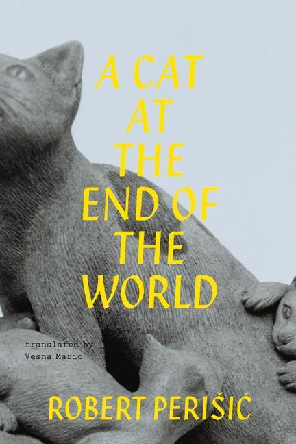 Cover: 9789533513997 | A Cat at the End of the World | Robert Perisic | Taschenbuch | 2022