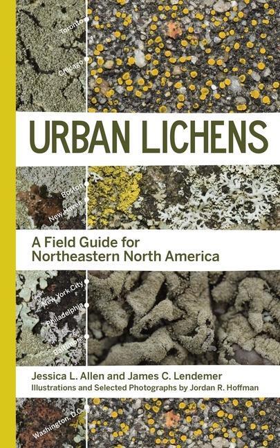 Cover: 9780300252996 | Urban Lichens: A Field Guide for Northeastern North America | Buch