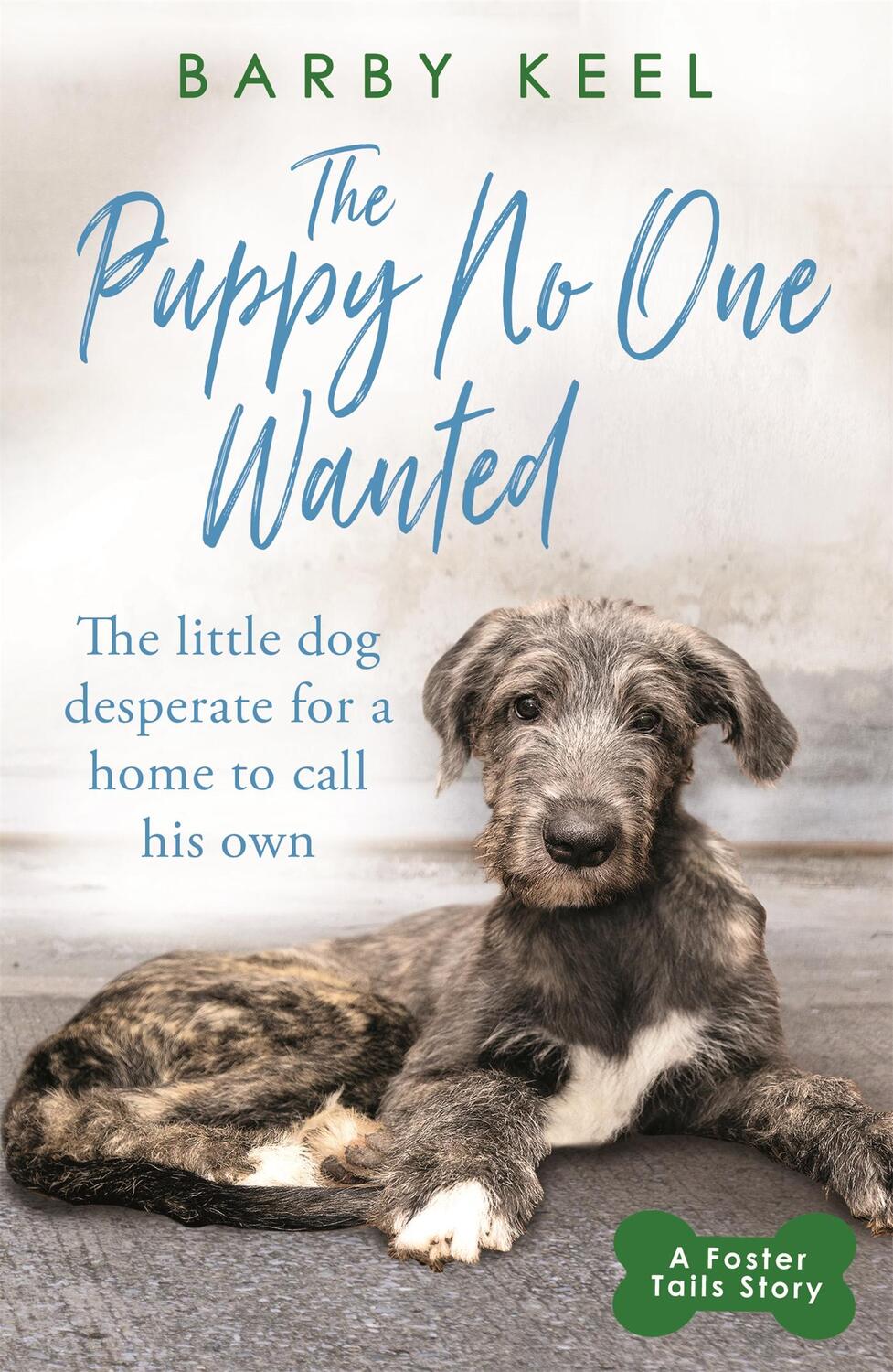 Cover: 9781409194699 | The Puppy No One Wanted | Barby Keel | Taschenbuch | Englisch | 2020