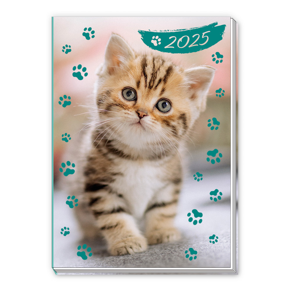 Cover: 4251901506924 | Trötsch Taschenkalender A7 Katze 2025 | Mini-Terminkalender | KG