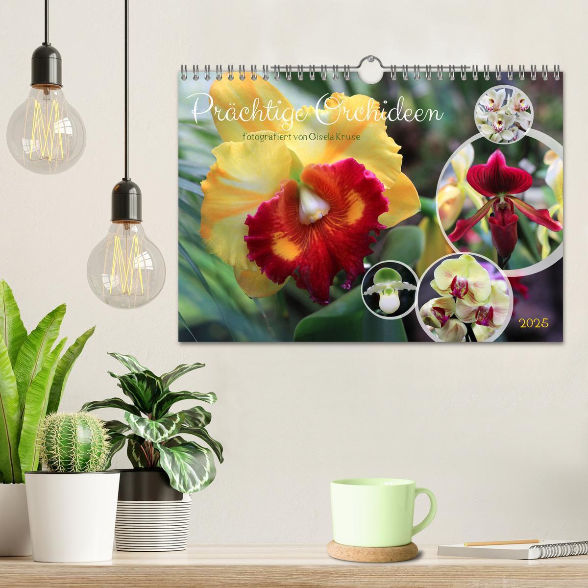 Bild: 9783383778551 | Prächtige Orchideen (Wandkalender 2025 DIN A4 quer), CALVENDO...