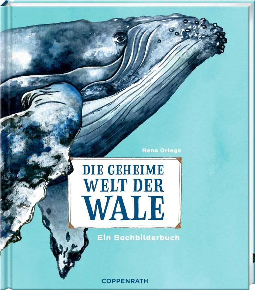 Cover: 9783649644255 | Die geheime Welt der Wale | Ein Sachbilderbuch | Rena Ortega | Buch