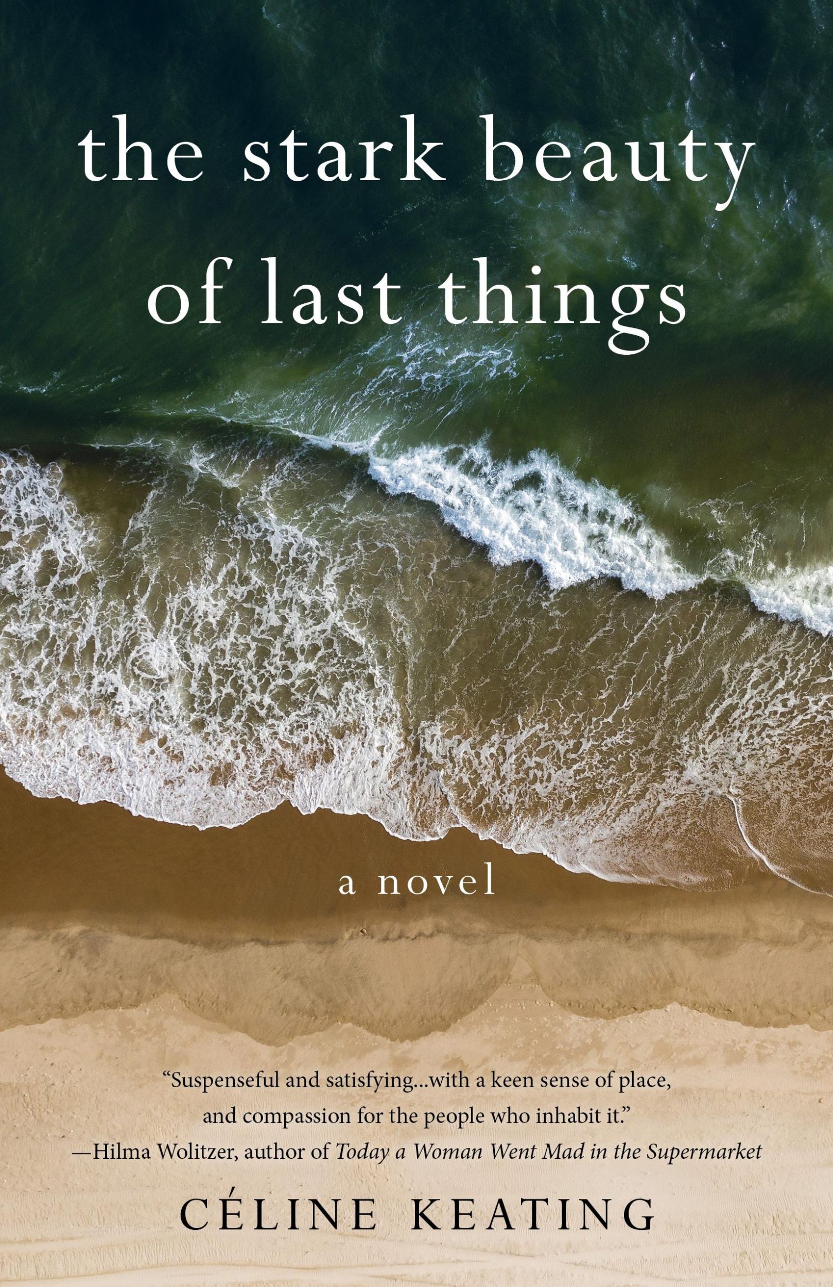 Bild: 9781647425777 | The Stark Beauty of Last Things | A Novel | Céline Keating | Buch