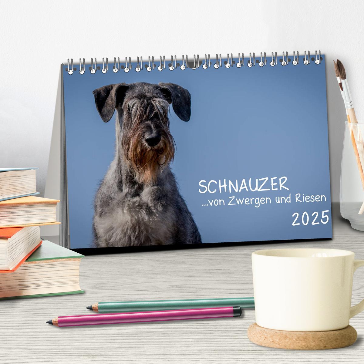 Bild: 9783435413430 | Schnauzer... von Zwergen und Riesen 2025 (Tischkalender 2025 DIN A5...