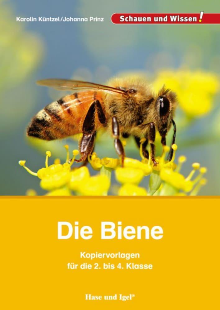 Cover: 9783867609555 | Die Biene - Kopiervorlagen für die 2. bis 4. Klasse | Küntzel (u. a.)