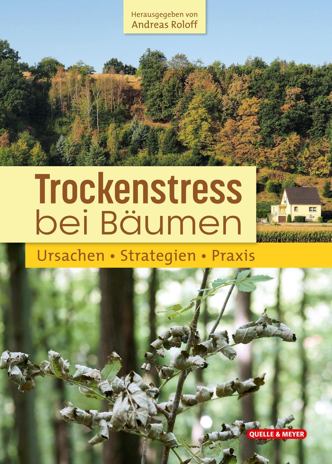 Cover: 9783494018584 | Trockenstress bei Bäumen | Ursachen . Strategien . Praxis | Roloff