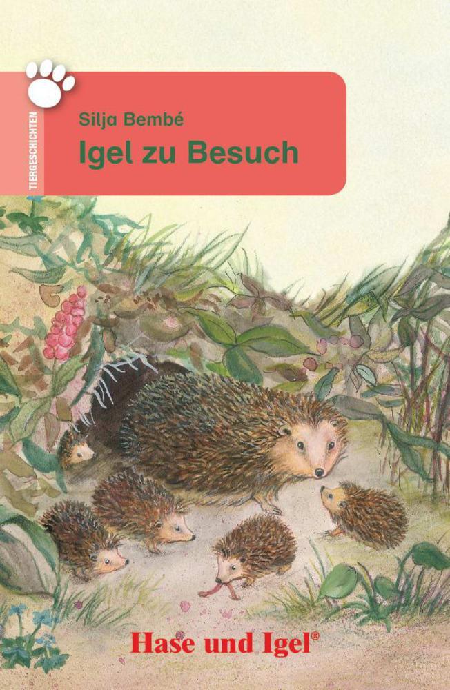 Cover: 9783867601764 | Igel zu Besuch | Schulausgabe | Silja Bembé | Taschenbuch | 64 S.