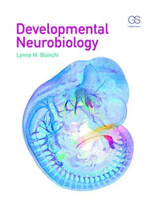 Cover: 9780815344827 | Developmental Neurobiology | Lynne Bianchi | Taschenbuch | Englisch
