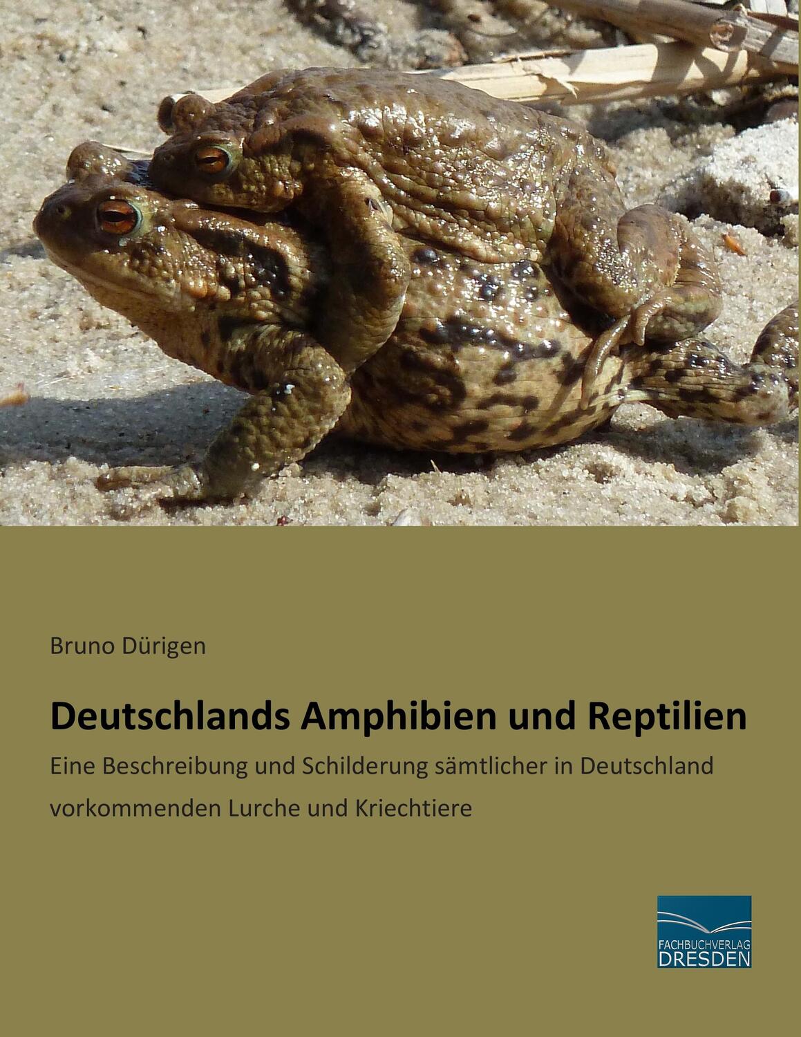 Cover: 9783956928031 | Deutschlands Amphibien und Reptilien | Bruno Dürigen | Taschenbuch