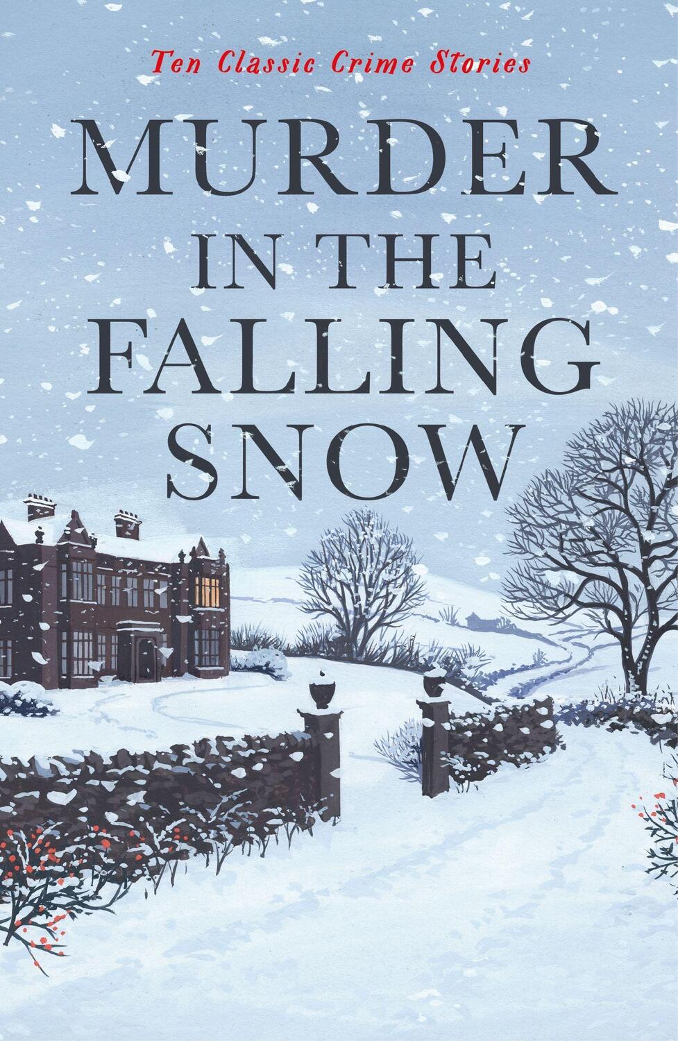 Cover: 9781800812451 | Murder in the Falling Snow | Ten Classic Crime Stories | Gayford
