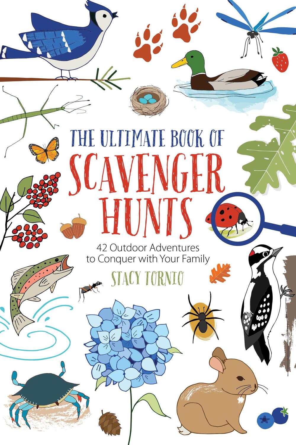 Cover: 9781493051533 | The Ultimate Book of Scavenger Hunts: 42 Outdoor Adventures to...