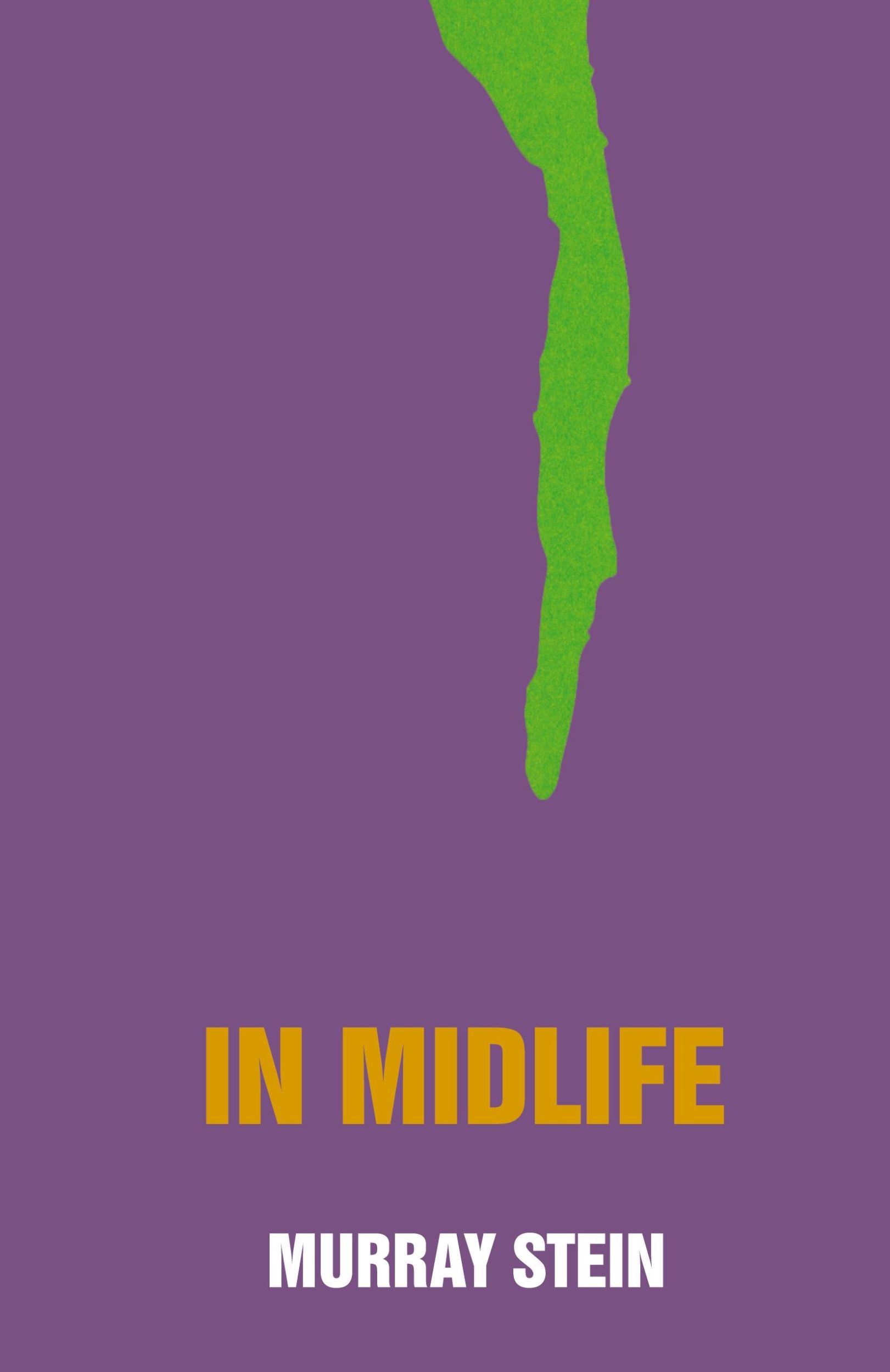 Cover: 9781630510893 | In Midlife | A Jungian Perspective | Murray Stein | Taschenbuch | 2014