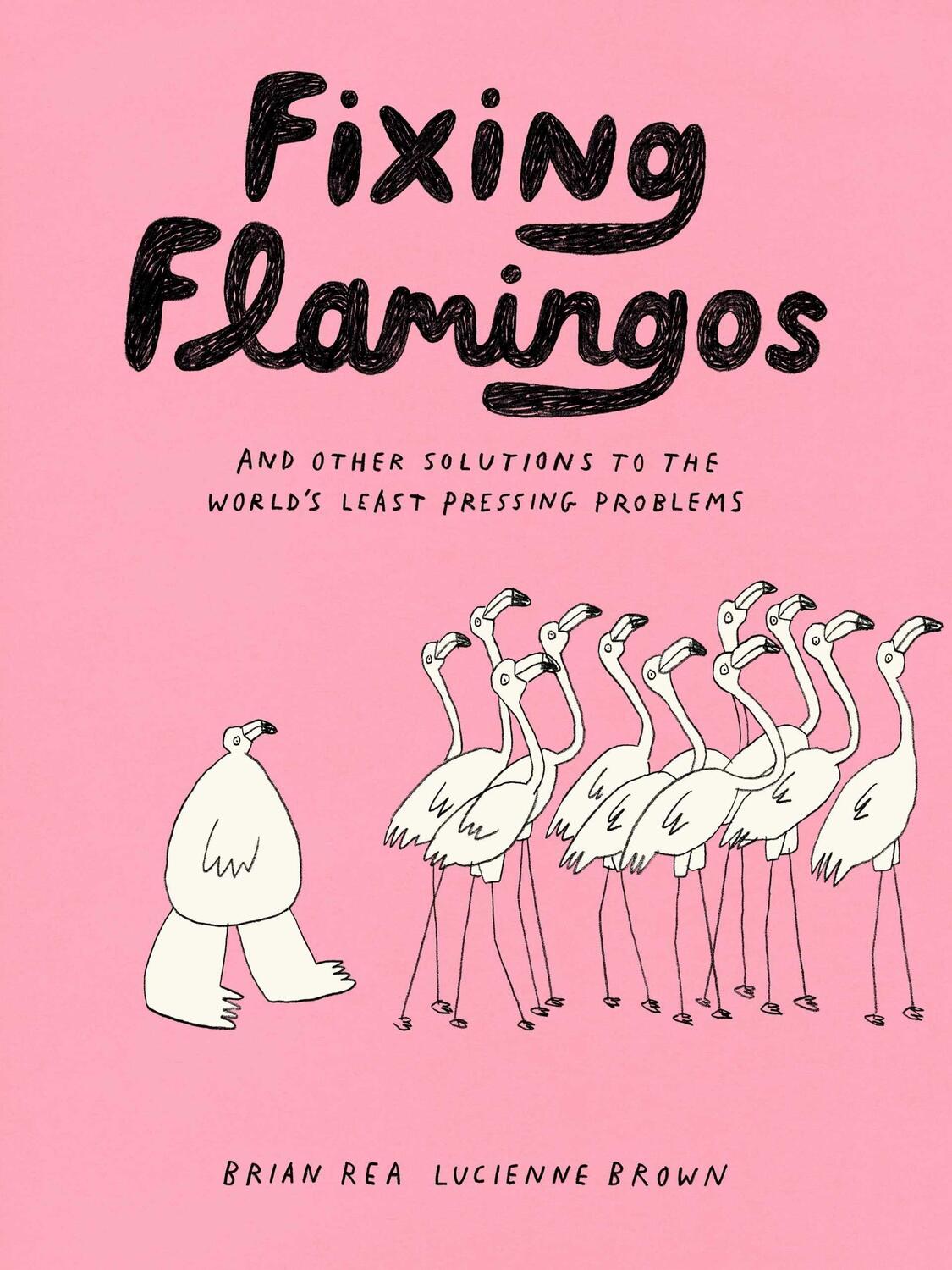 Cover: 9781797218755 | Fixing Flamingos | Lucienne Brown (u. a.) | Taschenbuch | Englisch