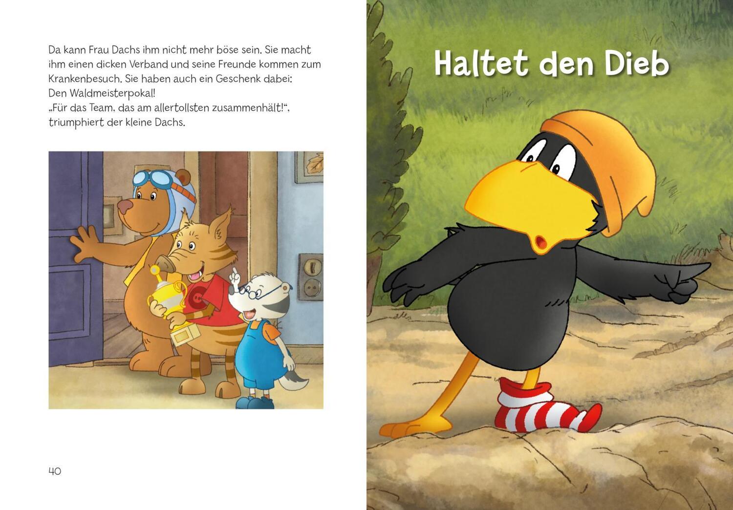 Bild: 9783480238002 | Der kleine Rabe Socke: Ritter Sockenherz | Nele Moost | Buch | 176 S.