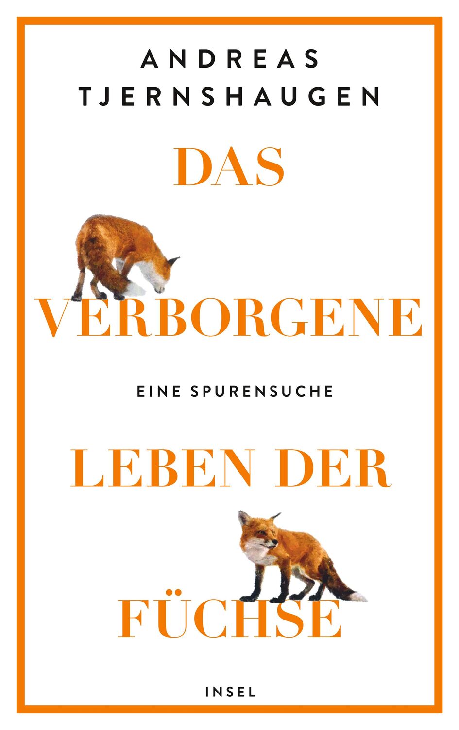 Cover: 9783458643715 | Das verborgene Leben der Füchse | Andreas Tjernshaugen | Buch | 214 S.