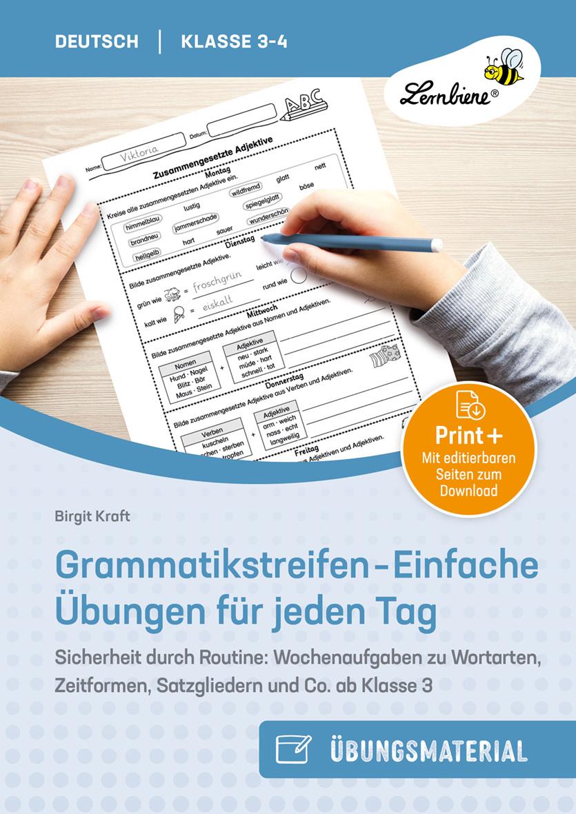 Cover: 9783746811741 | Grammatikstreifen - Einfache Übungen für jeden Tag | Birgit Kraft