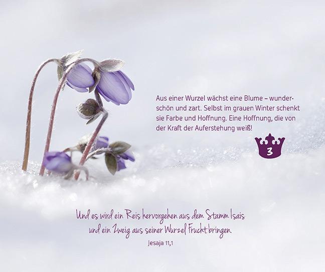 Bild: 9783842978218 | Warten auf den König | Adventskalender | Katharina Neudeck | Kalender