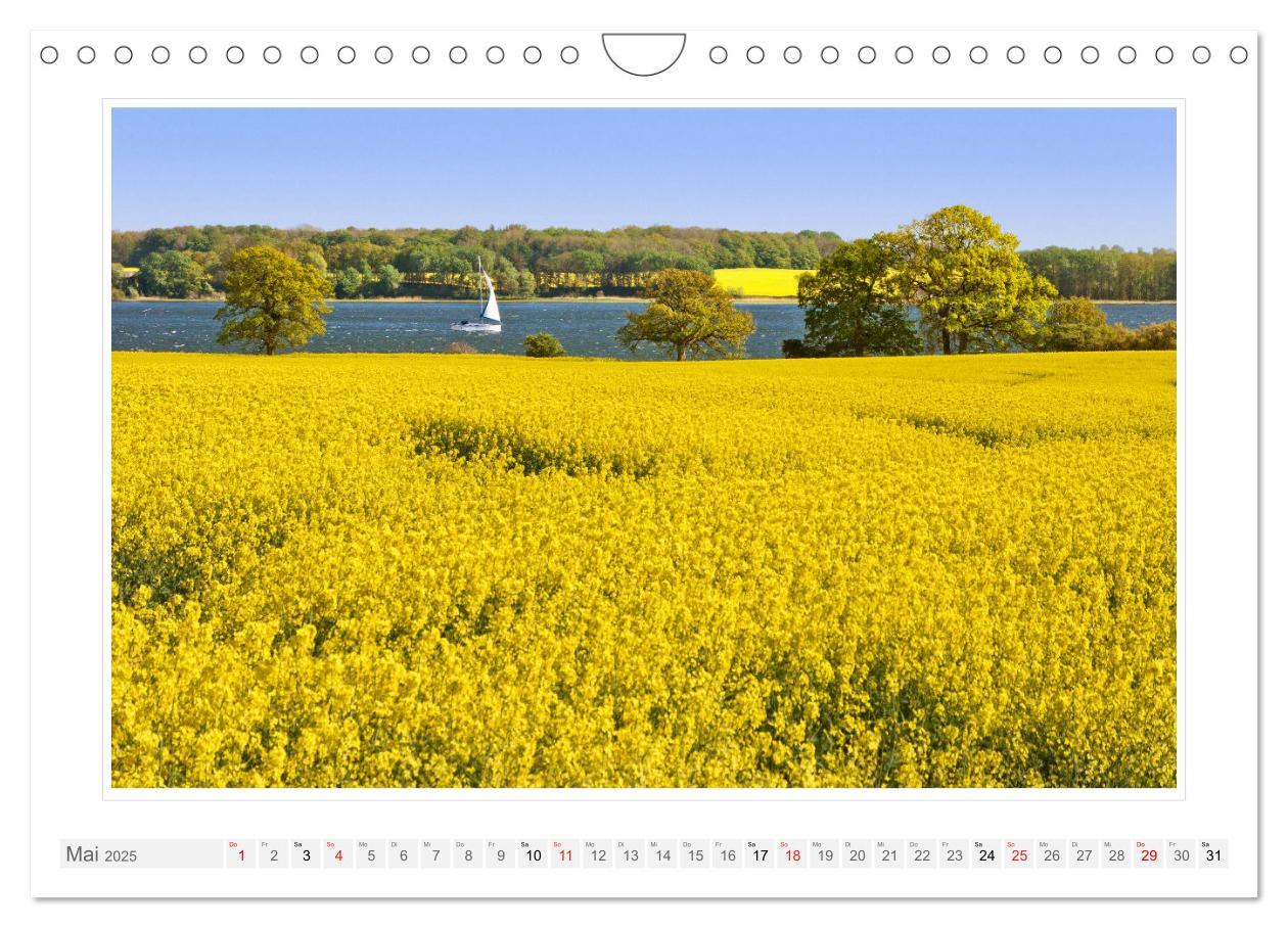 Bild: 9783457230572 | Rund um die Schlei (Wandkalender 2025 DIN A4 quer), CALVENDO...