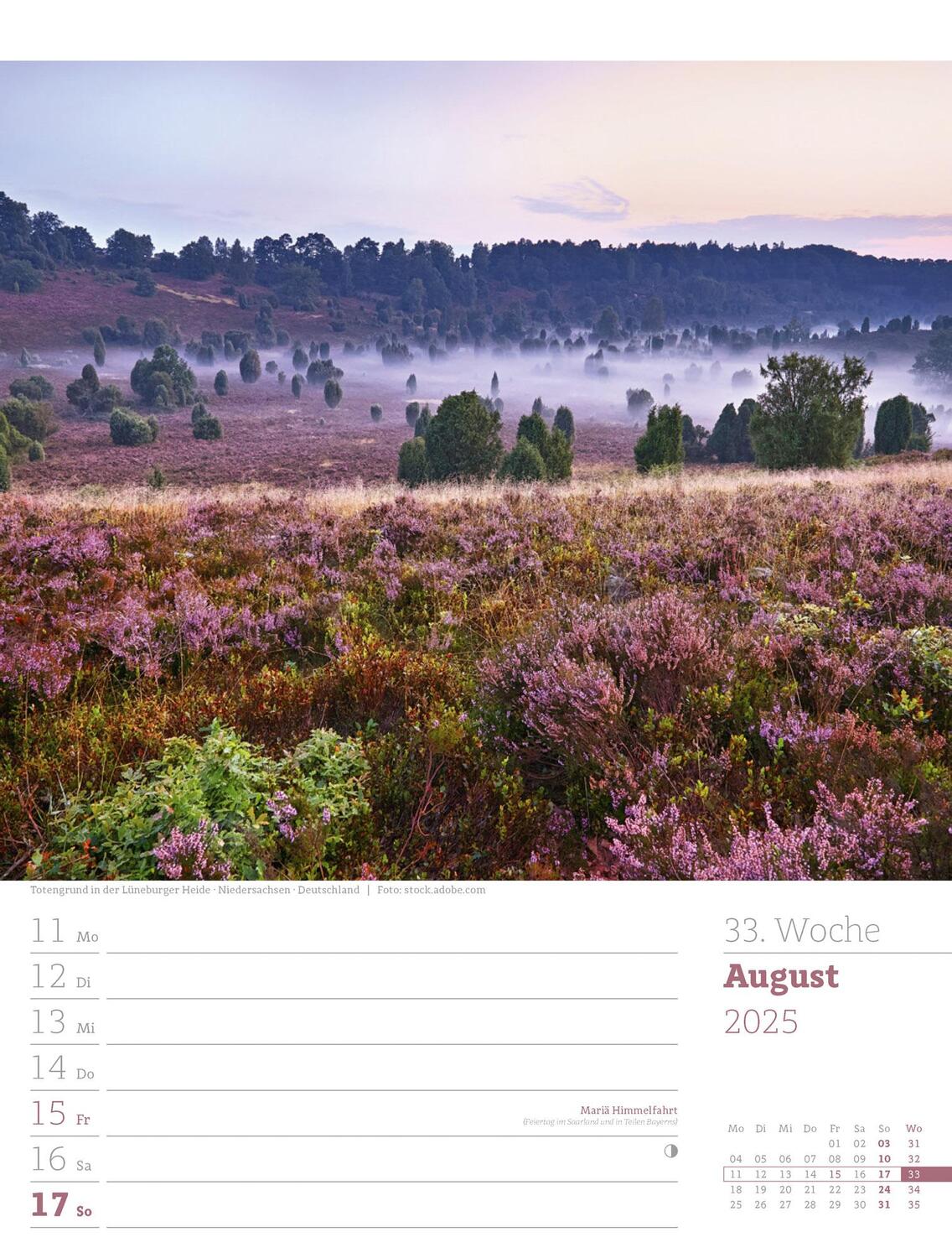 Bild: 9783838425979 | Unser Wald - Wochenplaner Kalender 2025 | Ackermann Kunstverlag | 2025