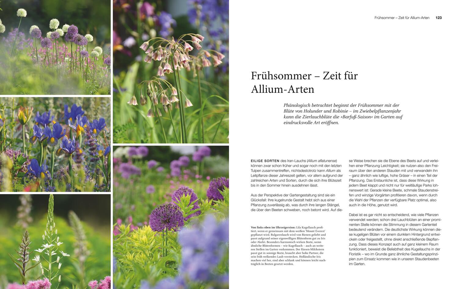 Bild: 9783835418615 | Blütenreich | Katrin Lugerbauer | Buch | 168 S. | Deutsch | 2019 | BLV
