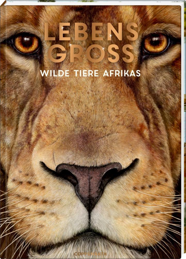 Cover: 9783649637905 | Lebensgroß | Wilde Tiere Afrikas | Holger Haag | Buch | Nature Zoom