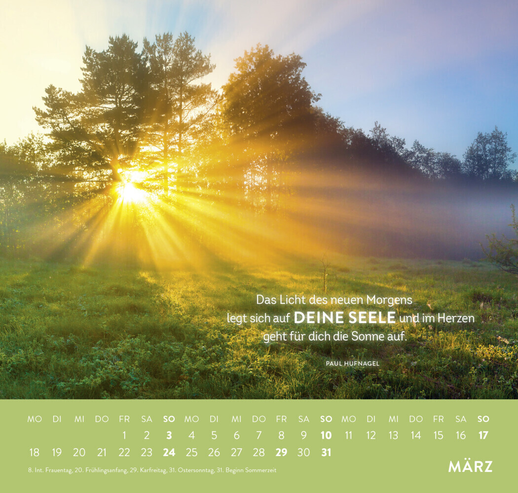 Bild: 4036442010594 | Wandkalender 2024: Lichtmomente in Wald und Natur | Groh Verlag | 2024