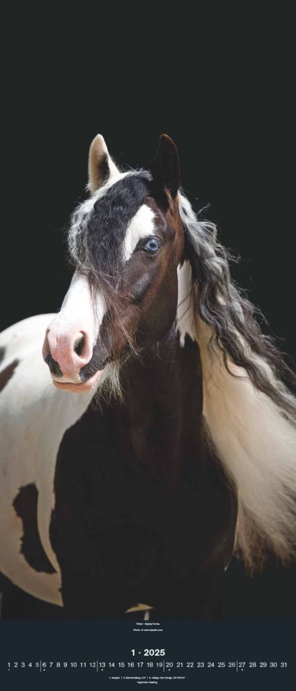 Bild: 4002725994202 | N NEUMANNVERLAGE - Beautiful Horses 2025 Wandkalender, 30x70cm,...