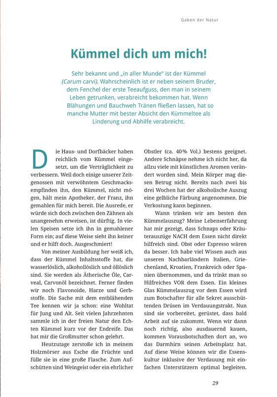 Bild: 9783945419045 | Kräuterwastls Erkenntnis-Schatz | Sebastian Viellechner | Taschenbuch