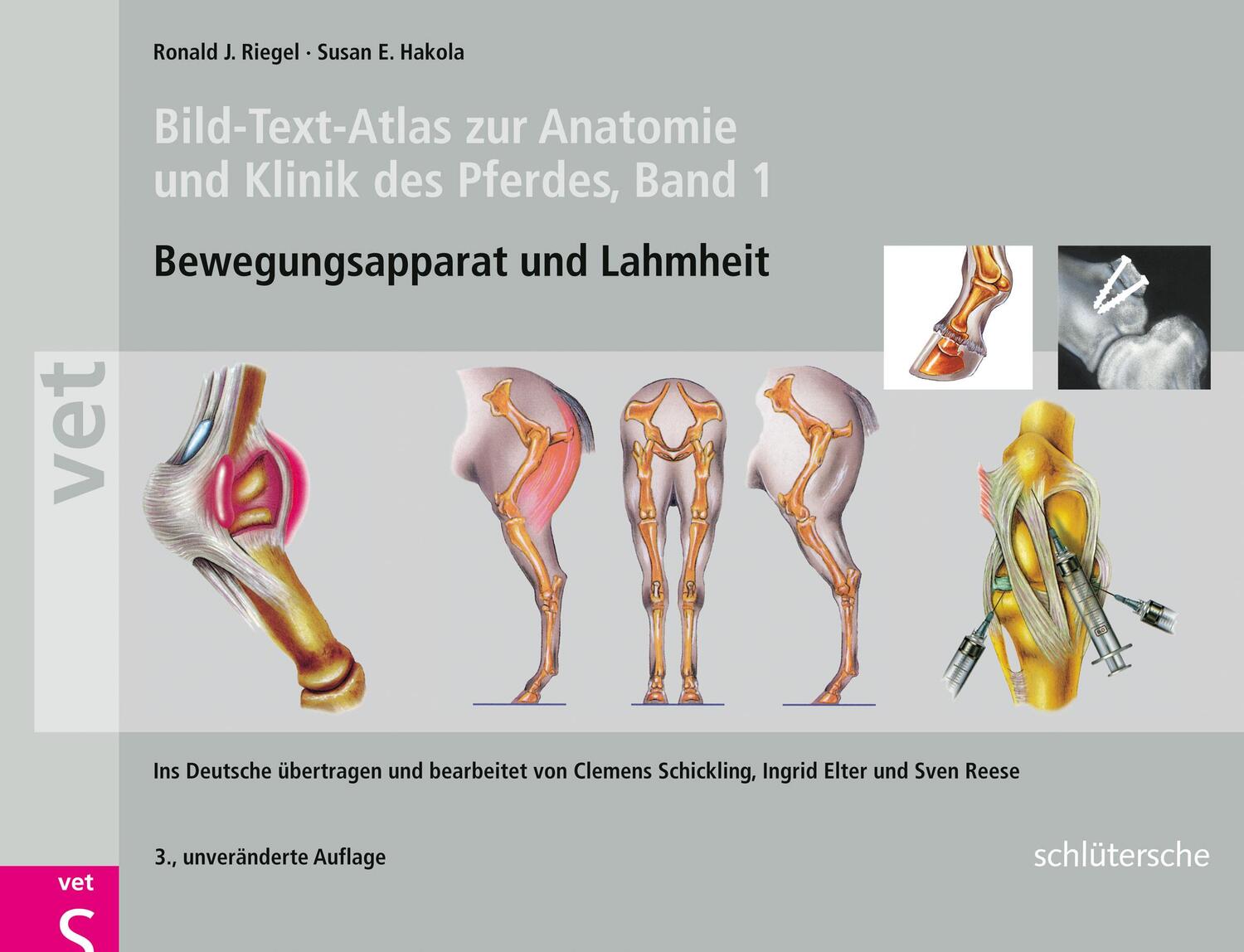 Bild-Text-Atlas zur Anatomie und Klinik des Pferdes - Riegel, Ronald J.