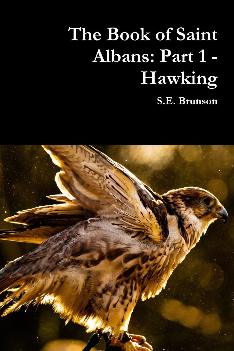 Cover: 9780359990931 | The Book of Saint Albans | Part 1 - Hawking | S. E. Brunson | Buch