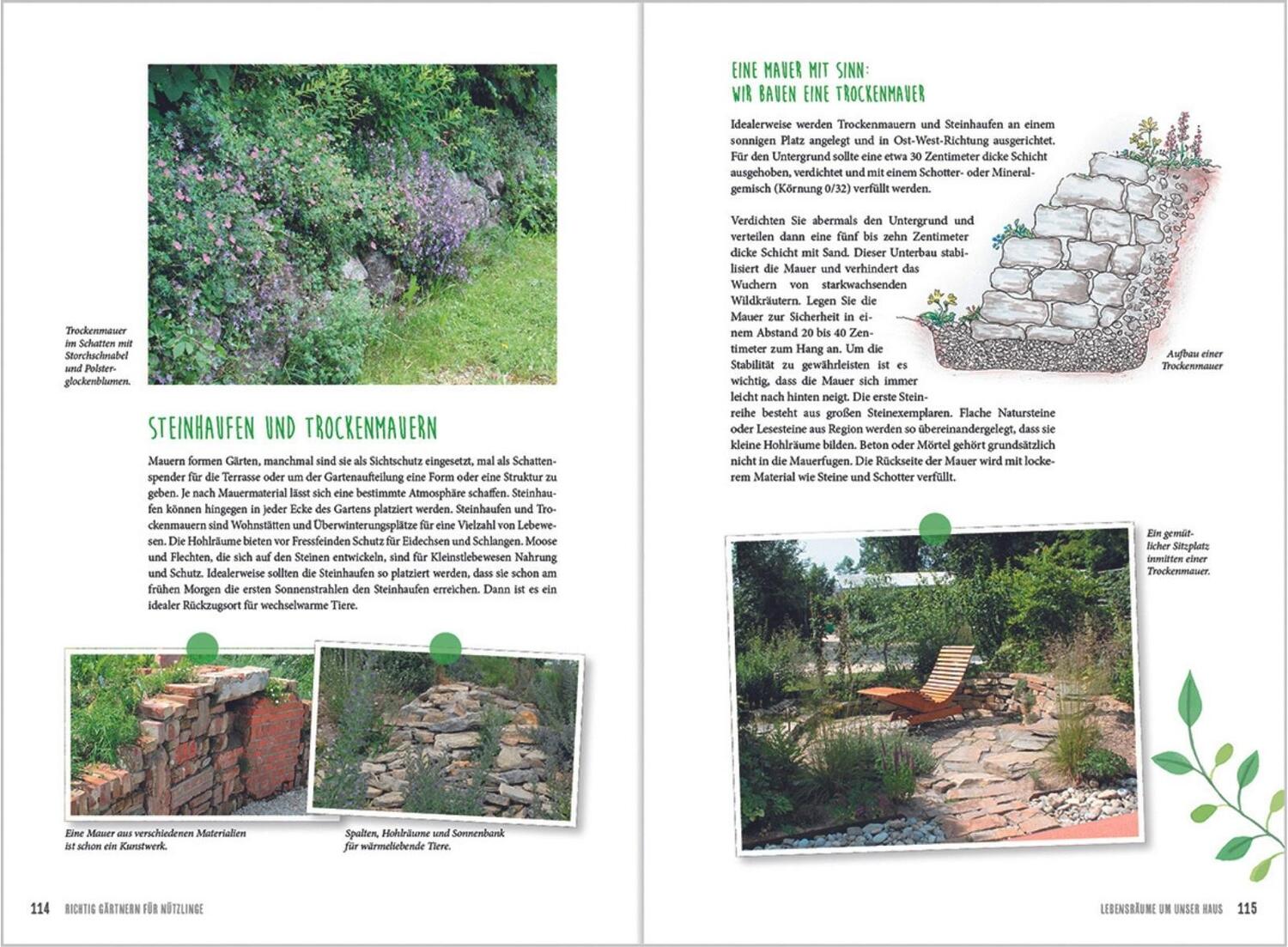 Bild: 9783784356020 | MDR Garten - Richtig gärtnern für Nützlinge | Brigitte Goss | Buch