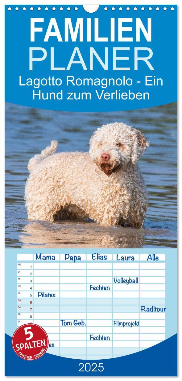 Cover: 9783457115169 | Familienplaner 2025 - Lagotto Romagnolo - Ein Hund zum Verlieben...