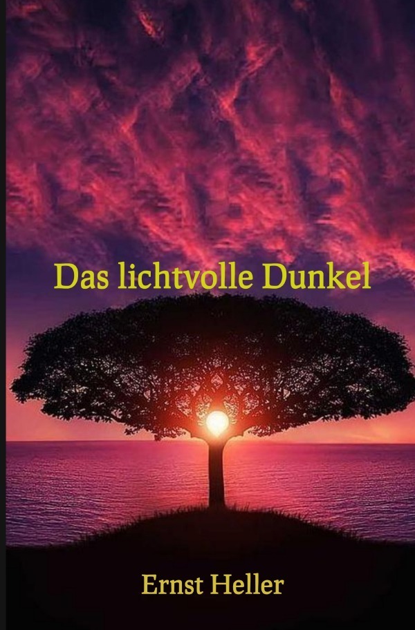 Cover: 9783746759845 | Das lichtvolle Dunkel | Ernst/Alfred Shogun Heller Amita/Schlemmer